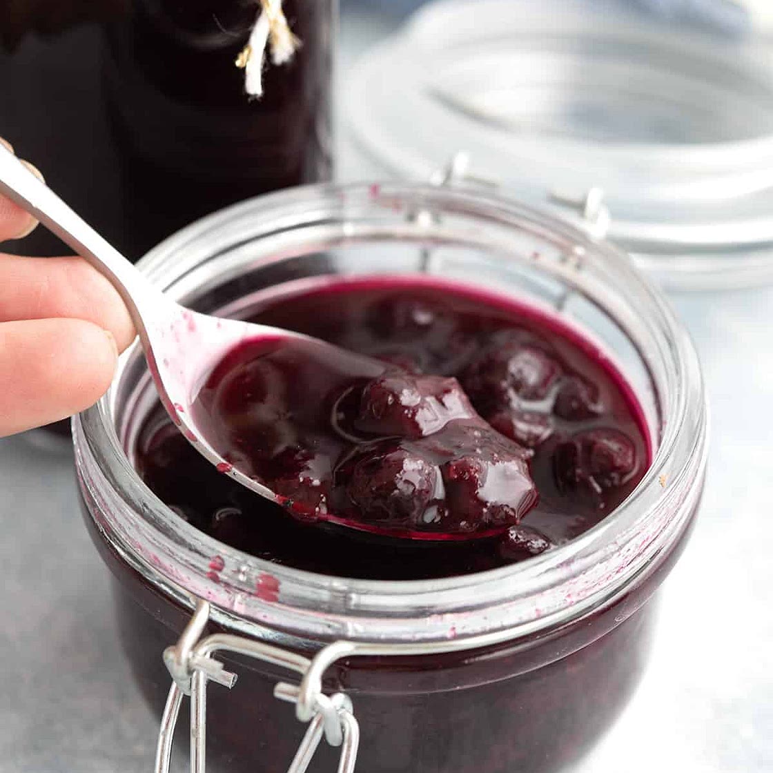 Keto Blueberry Vanilla Syrup