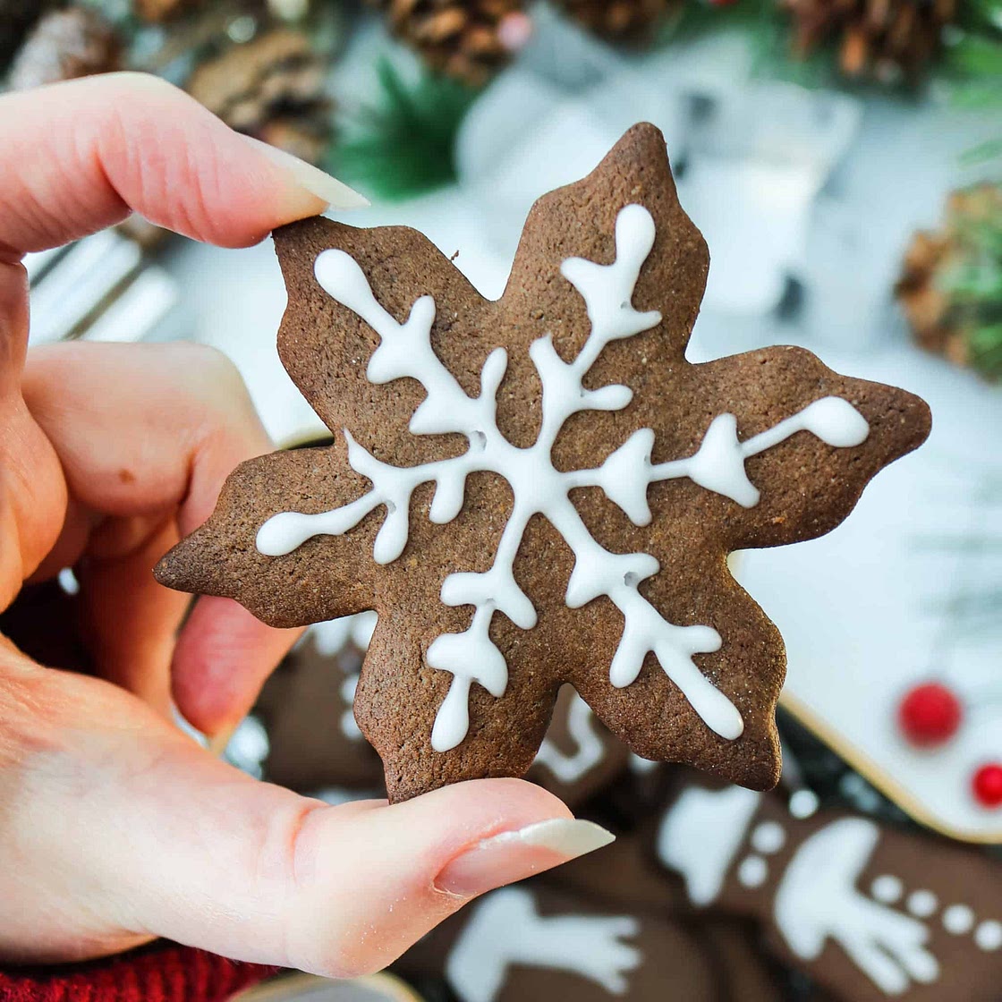 Cocoa and Ginger Xmas Cookies
