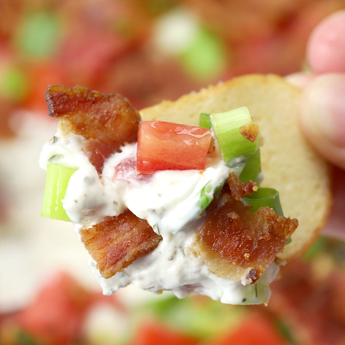 BLT Dip