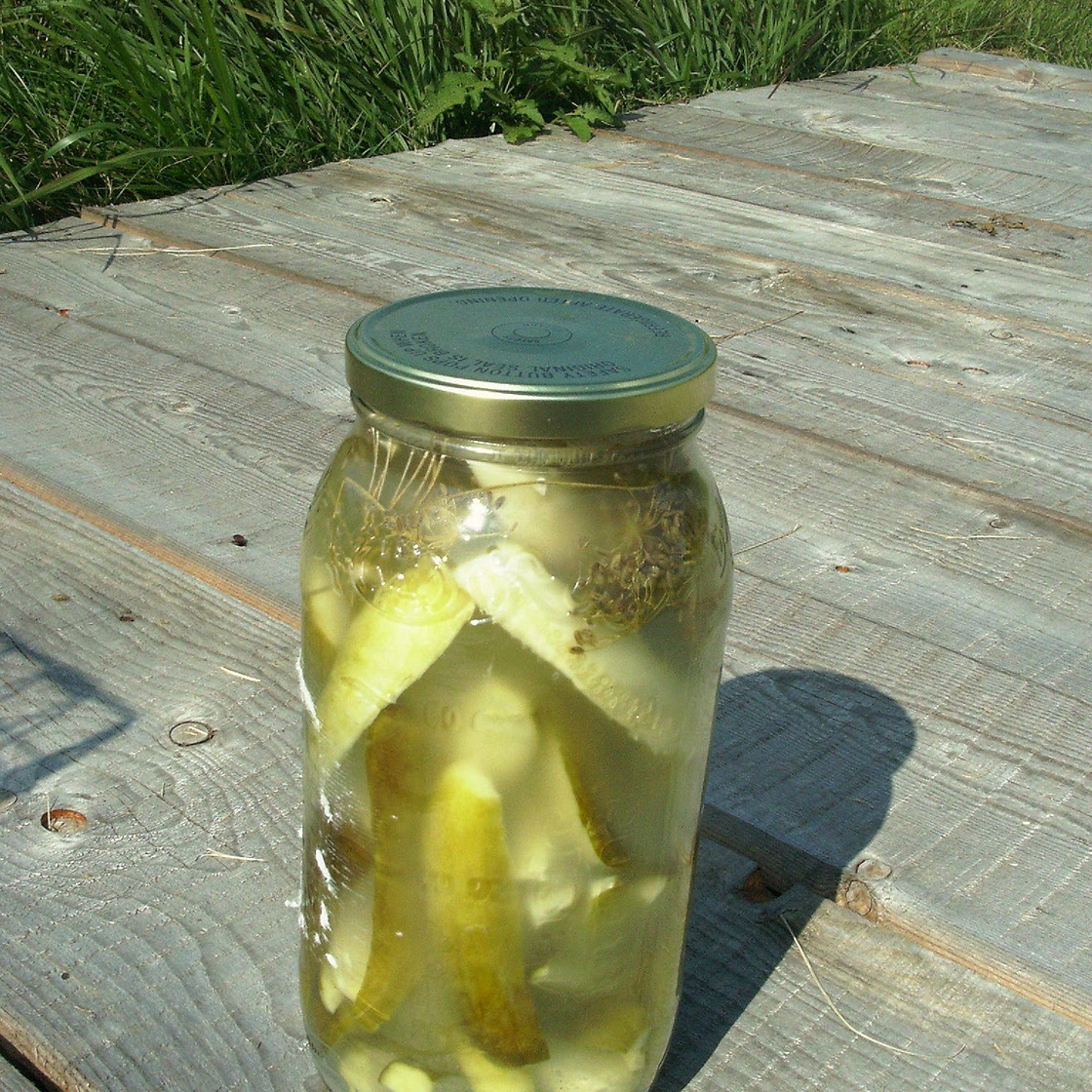 Sun Cooked Pickles