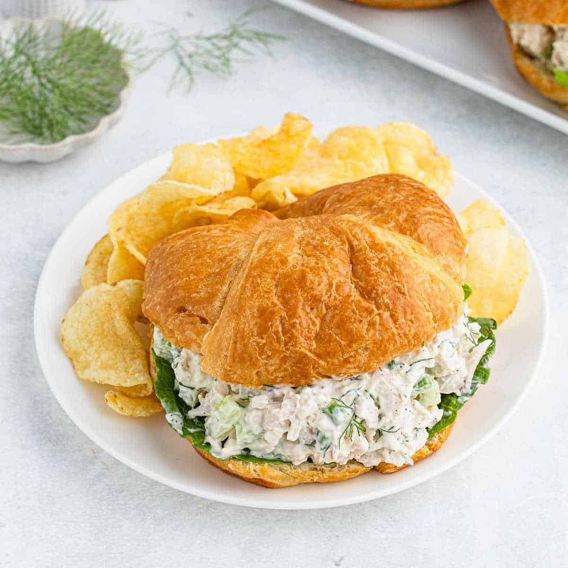 Chicken Salad Recipe