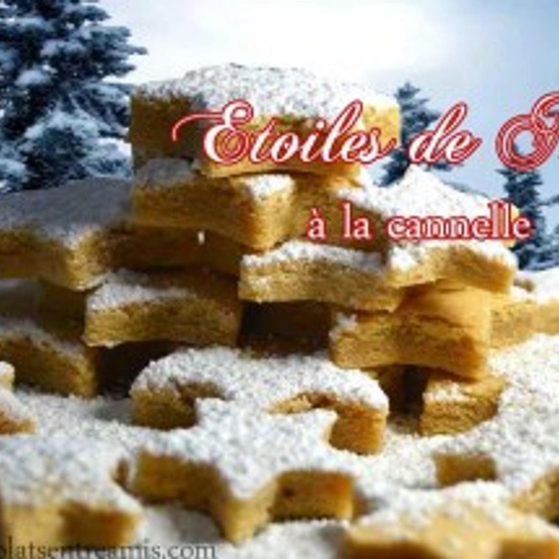 Etoiles de Noël à la cannelle