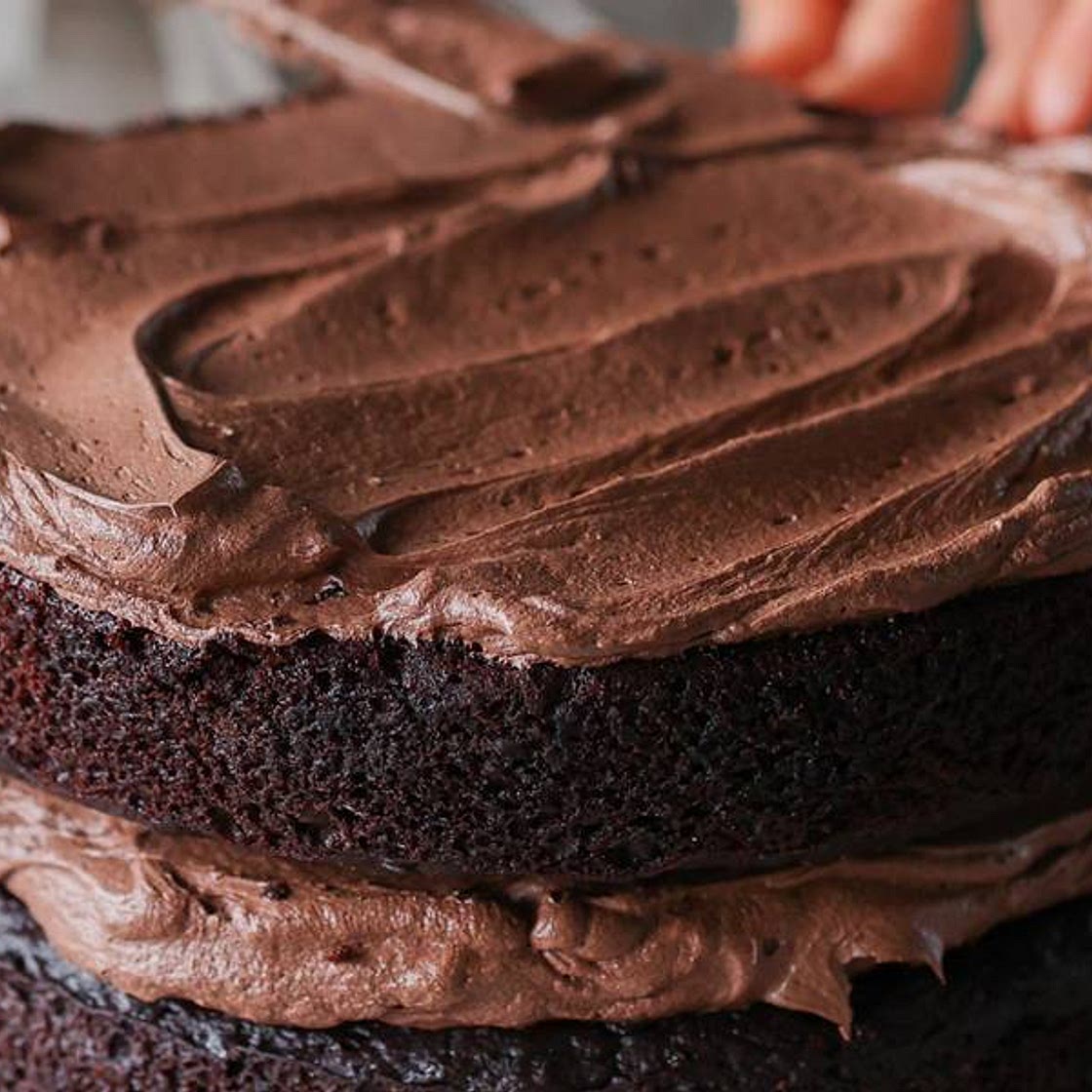 Vegan Chocolate Buttercream Frosting