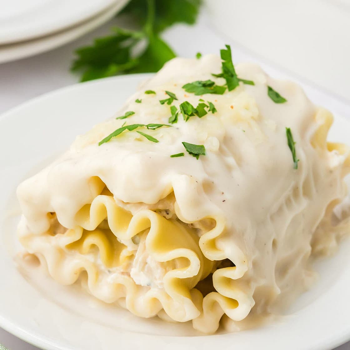 Chicken Alfredo Lasagna Rollups