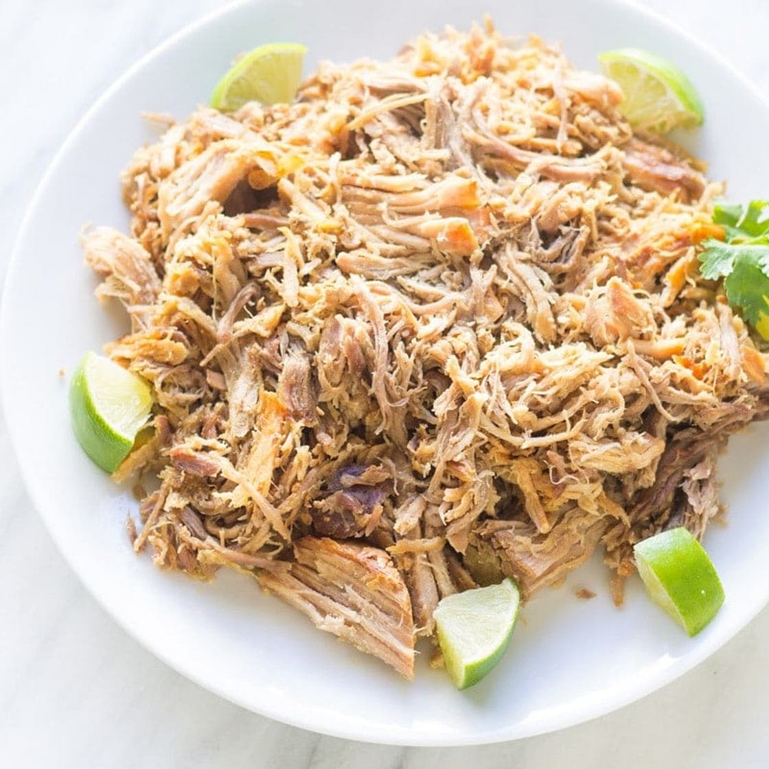 Low FODMAP Carnitas