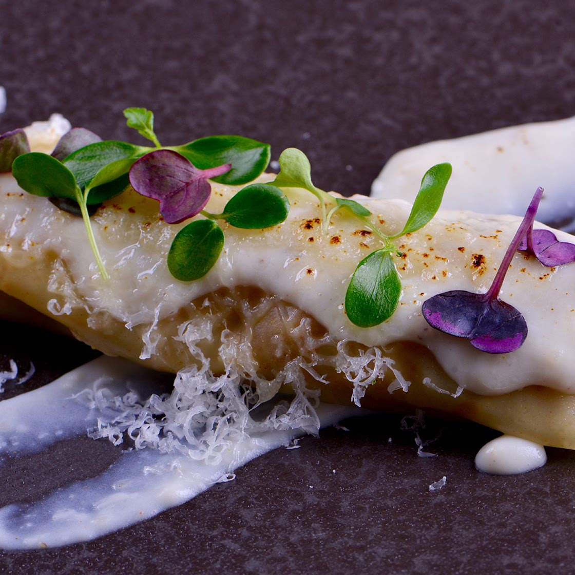 Canelones de pasta Wonton