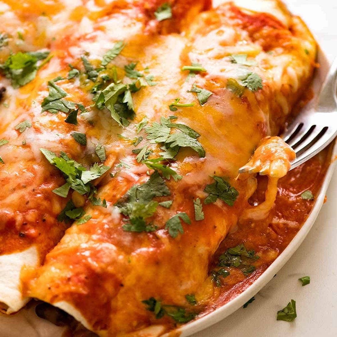 Chicken Enchiladas