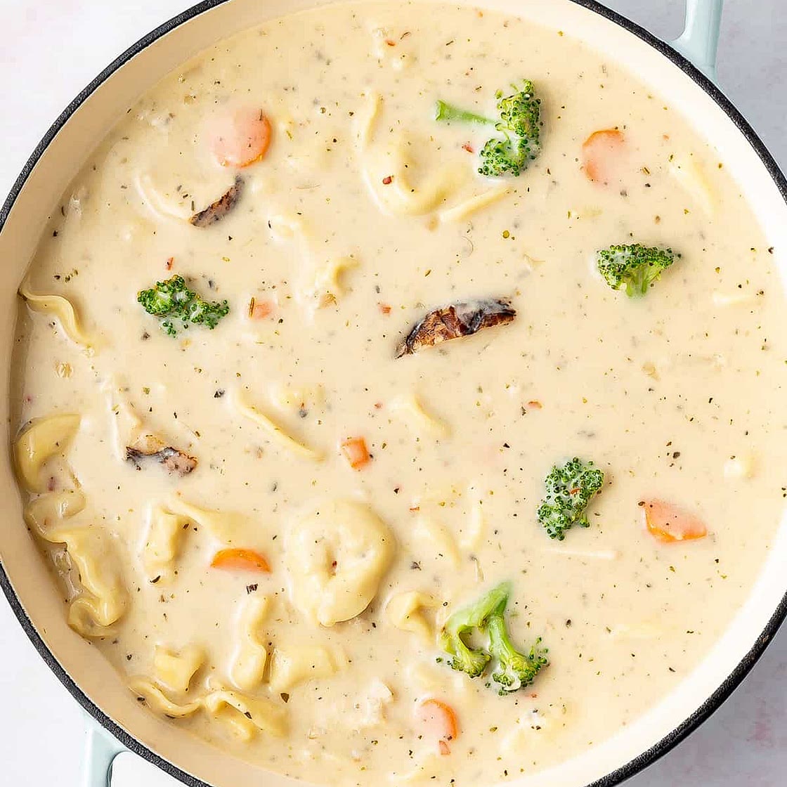 Chicken Alfredo Tortellini Soup