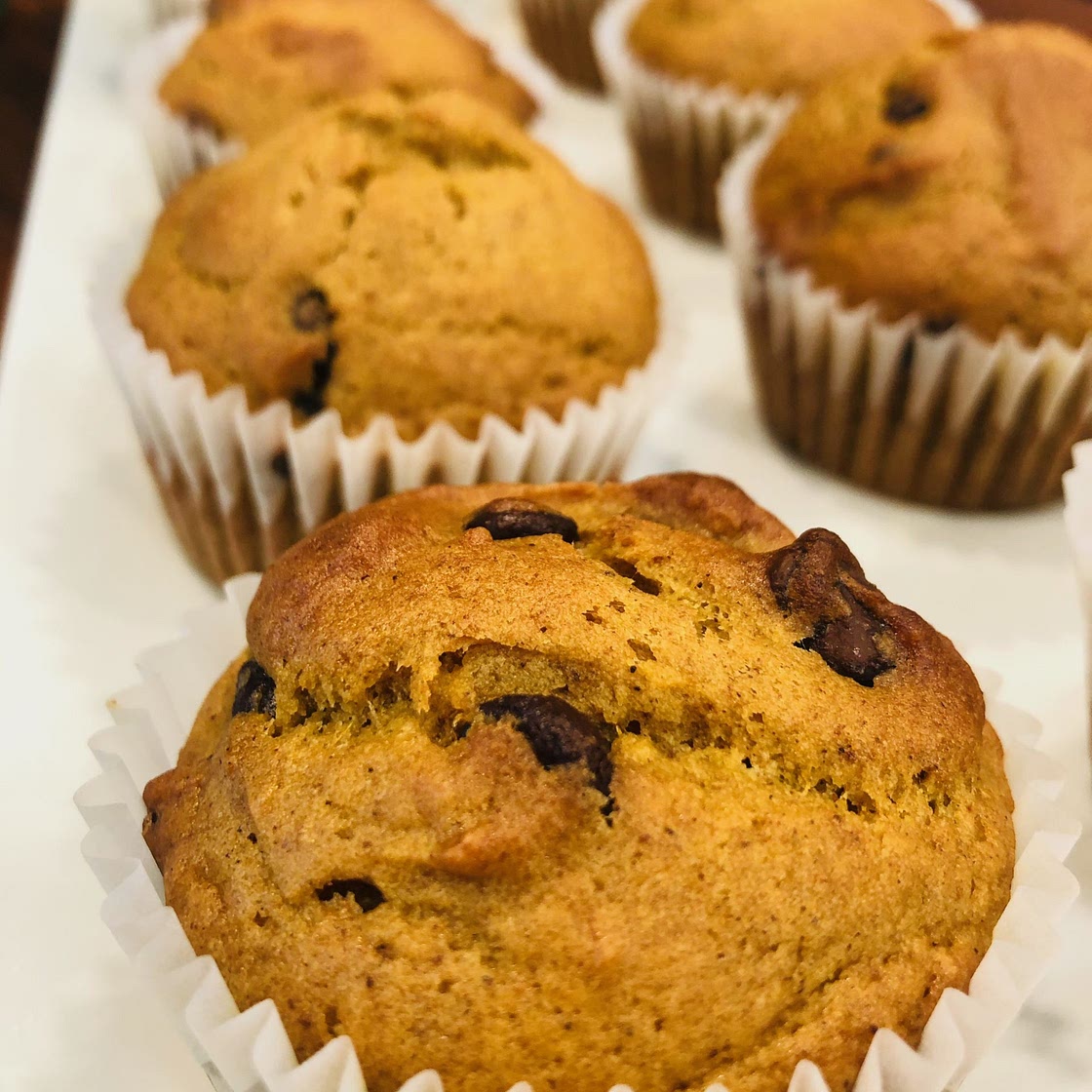 Pumpkin Chocolate Chip Muffins