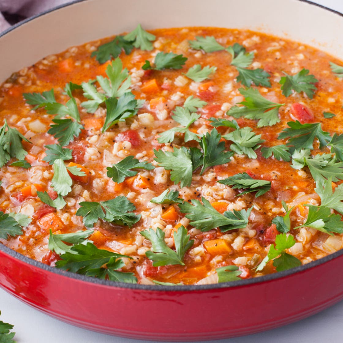 Tomato and Barley Soup