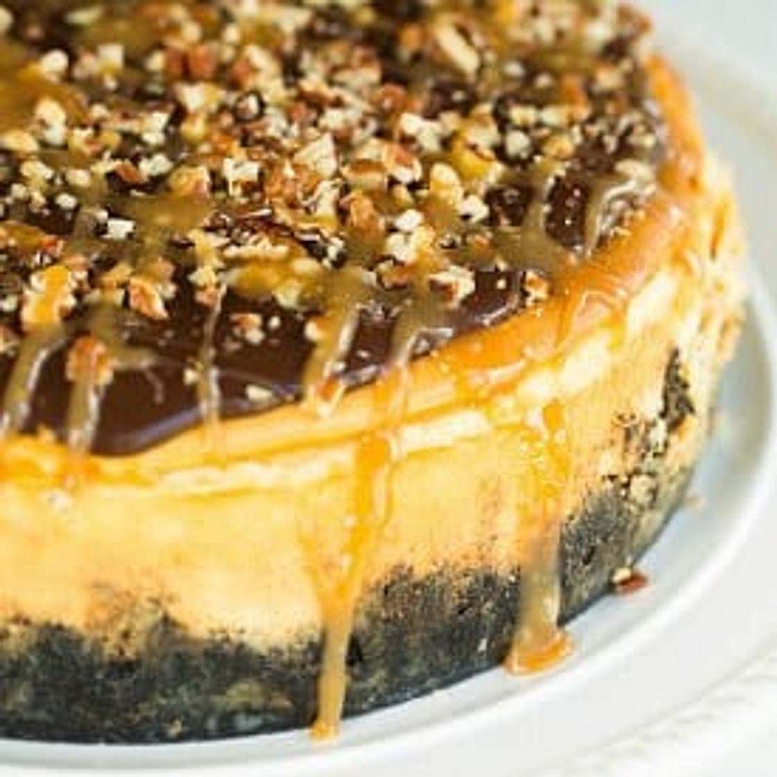 Turtle Cheesecake