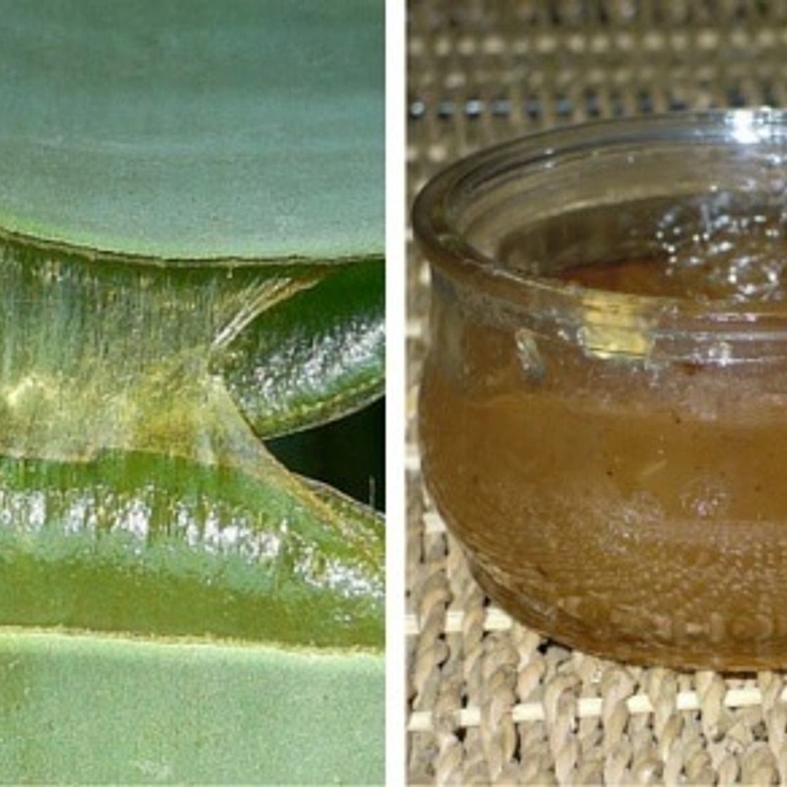 How to Make a Healthy Aloe Vera Jelly