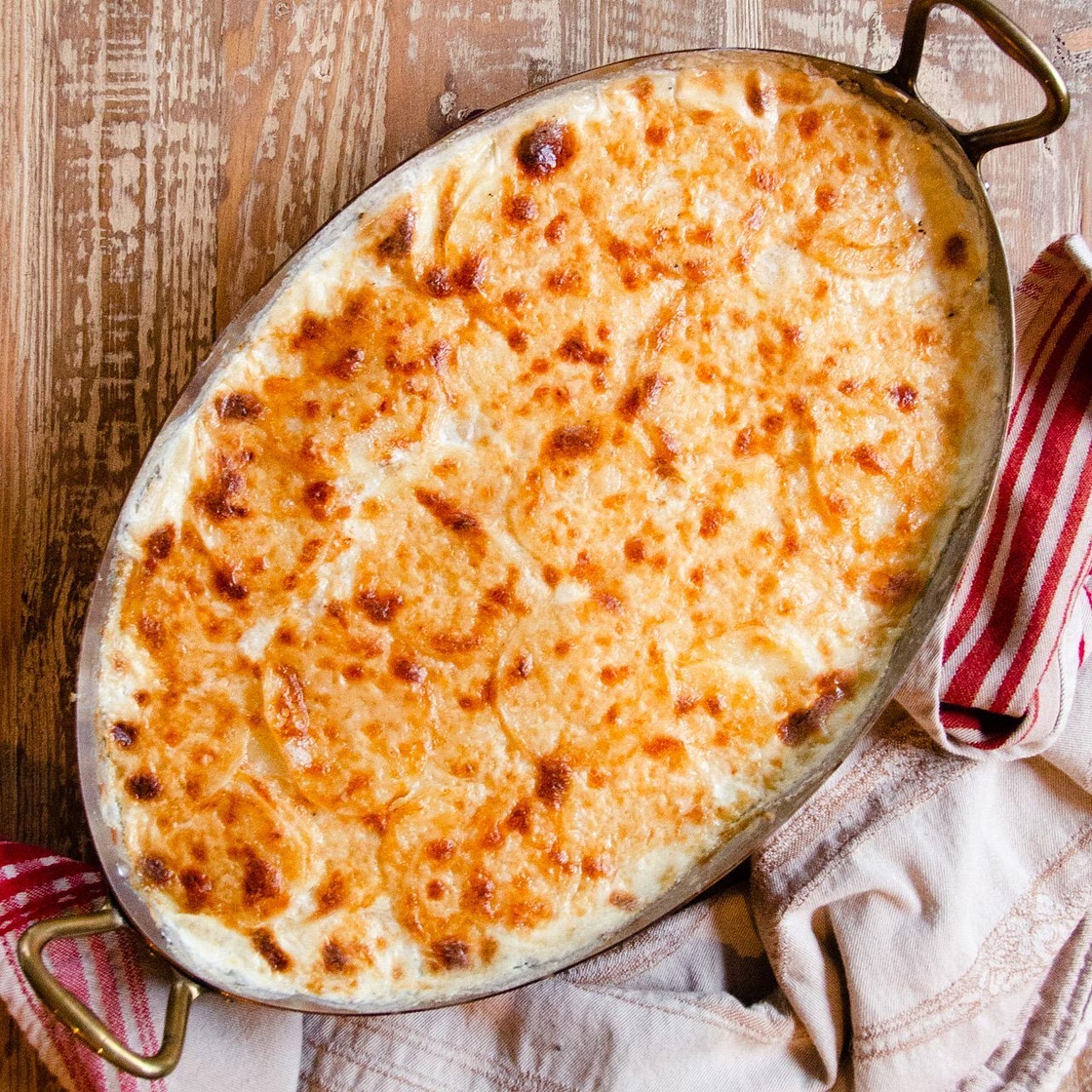 Potato Gratin