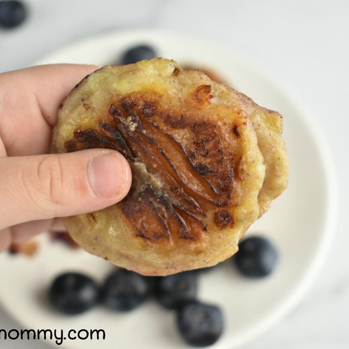 Blueberry Banana Fritters- The Perfect Toddler Snack
