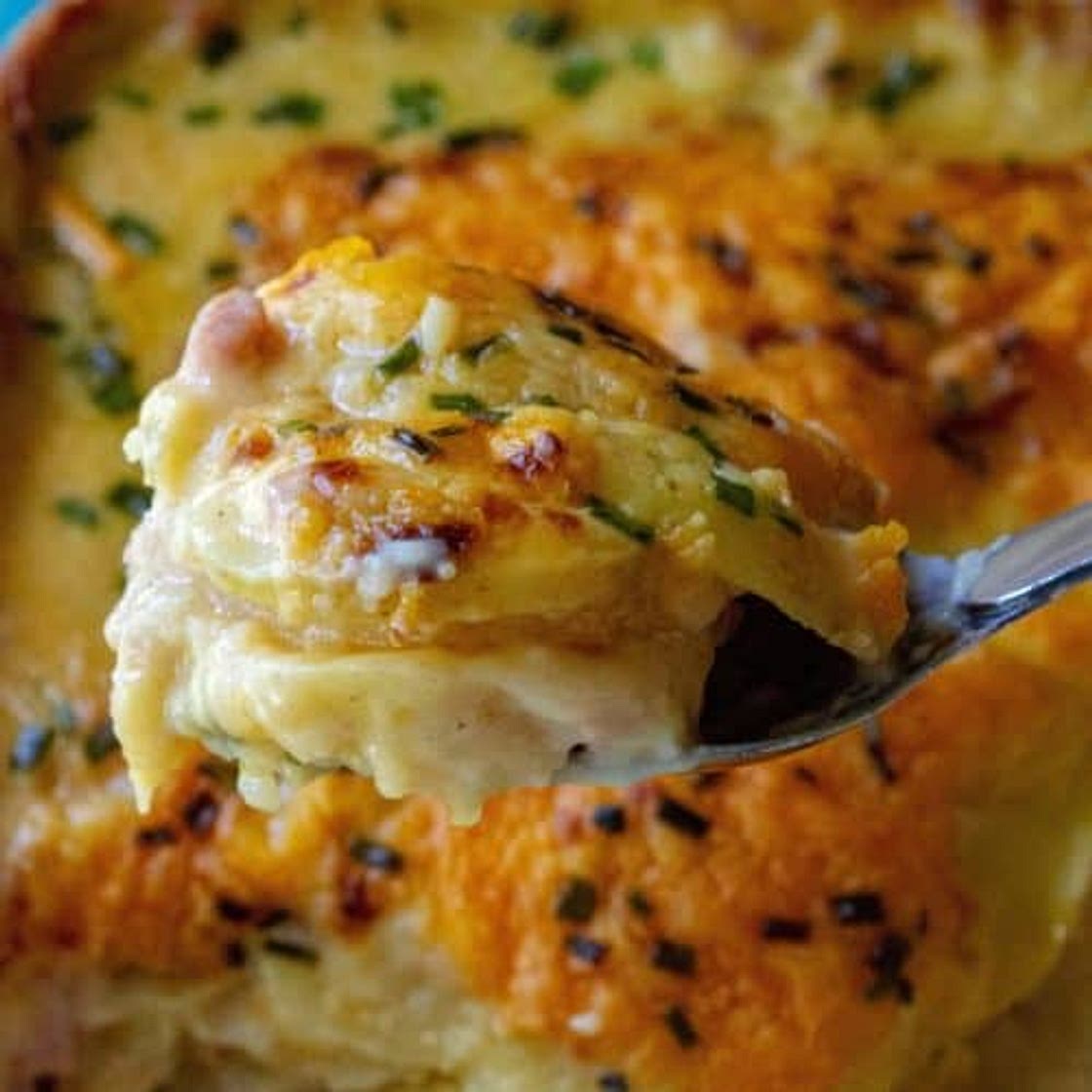 Cheesy Scalloped Potatoes and Ham