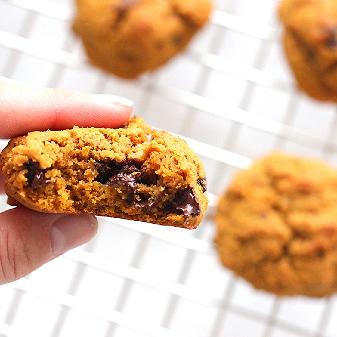 Pumpkin Chocolate Chip Cookies (Made with Chickpea Flour!)