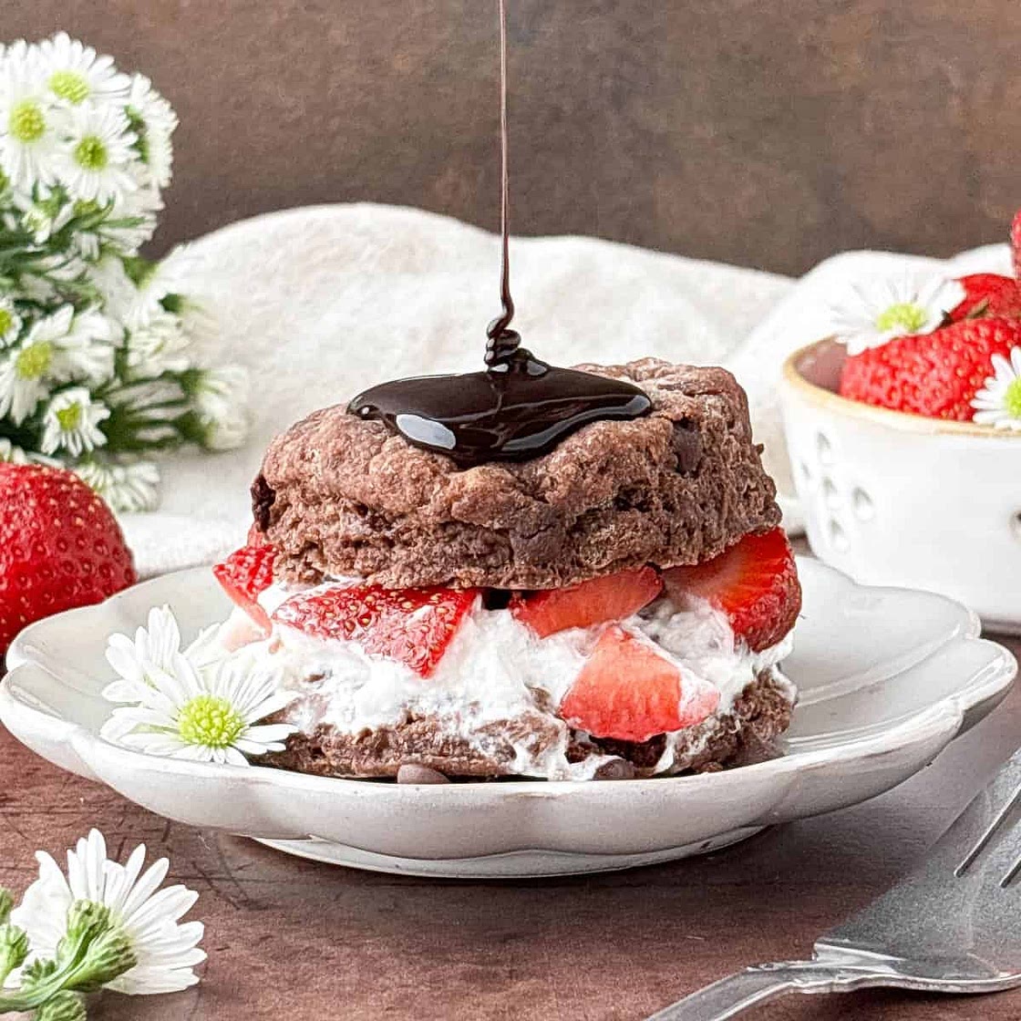 Chocolate Strawberry Shortcake