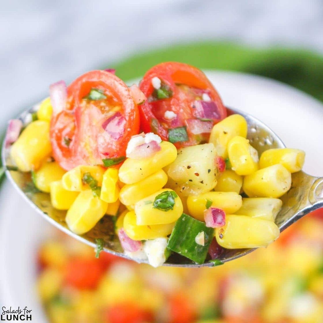 Summer Corn Salad Recipe