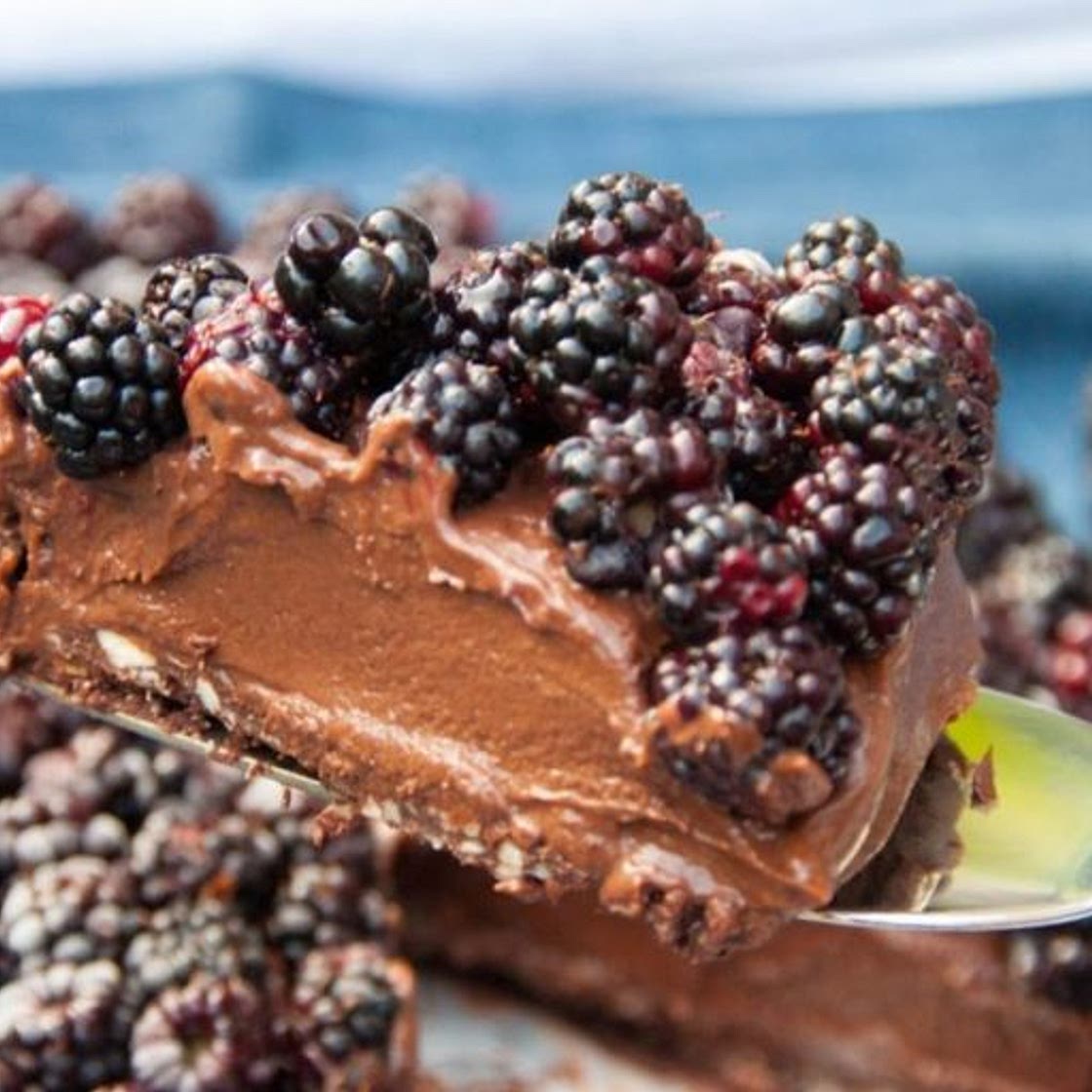 Avocado Chocolate Mousse Cake