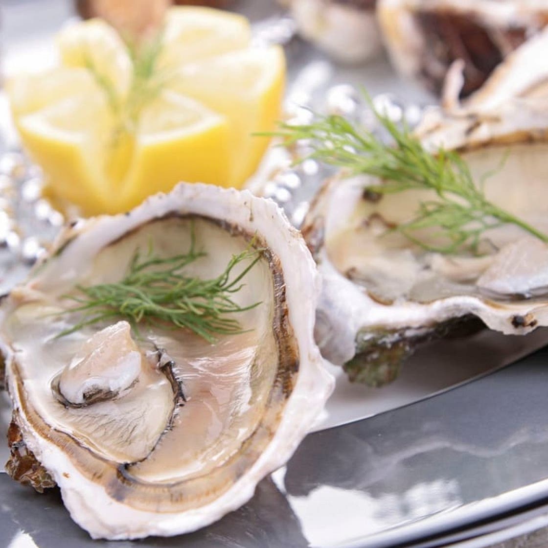 Assiette d'huîtres