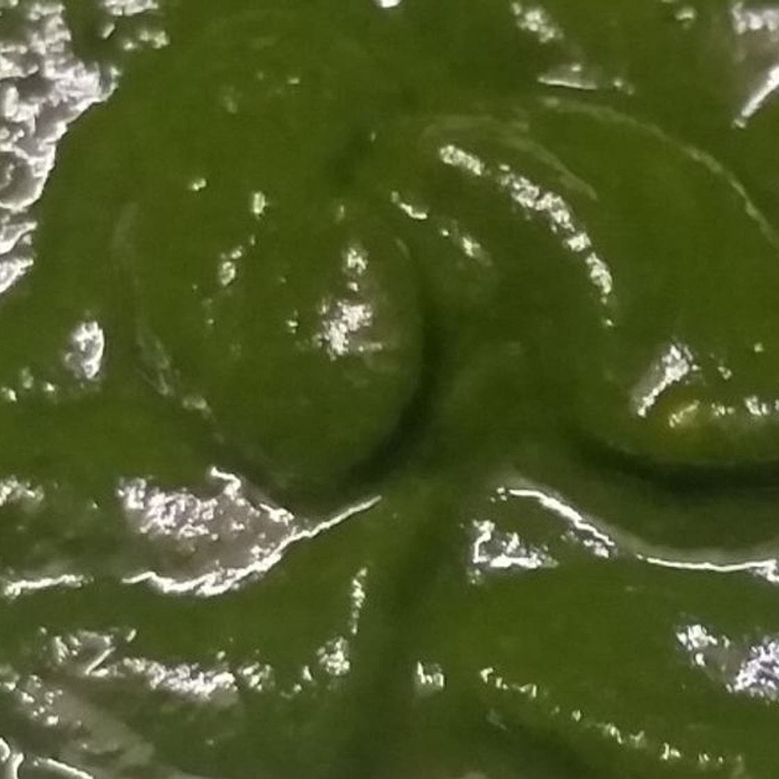 धनिया की मसालेदार चटनी (dhaniya chutney recipe in hindi)