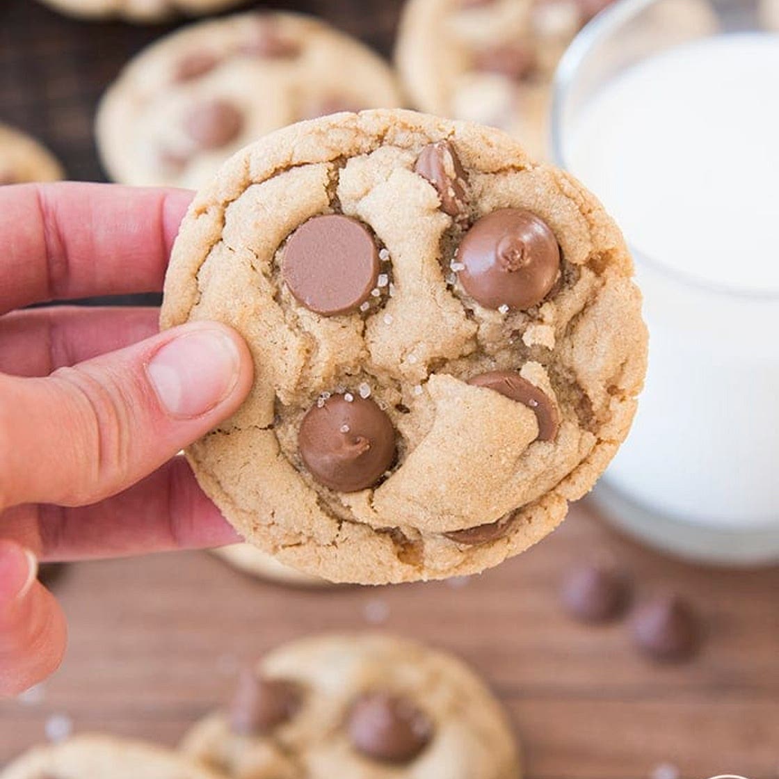 Peanut Butter Chocolate Chip Cookies