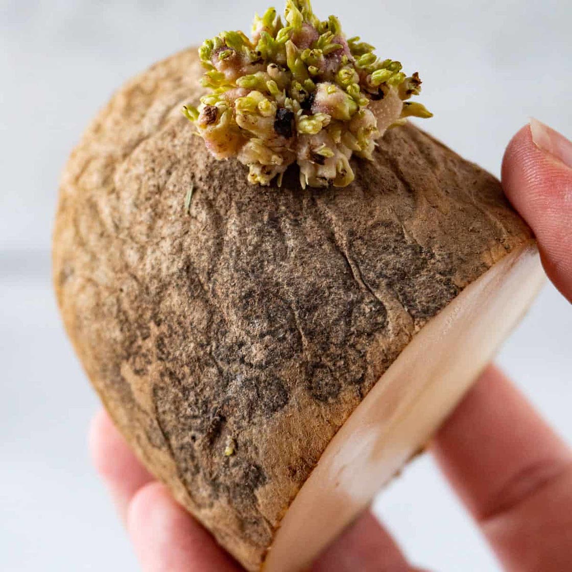 How to Tell if Potatoes are Bad