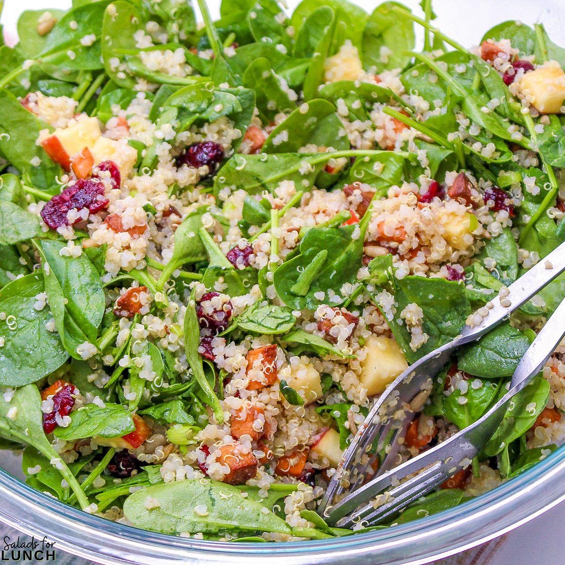 Harvest Quinoa Salad Recipe