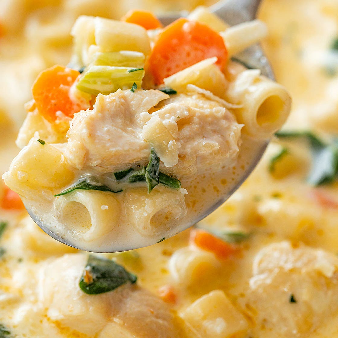 Creamy Chicken Soup with Pasta and Spinach