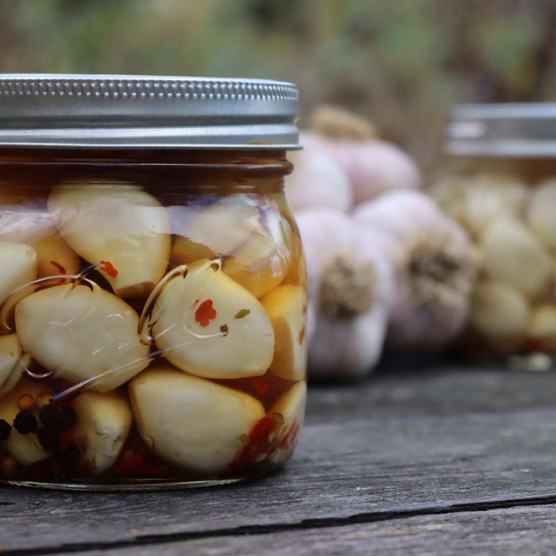 Pickled Garlic