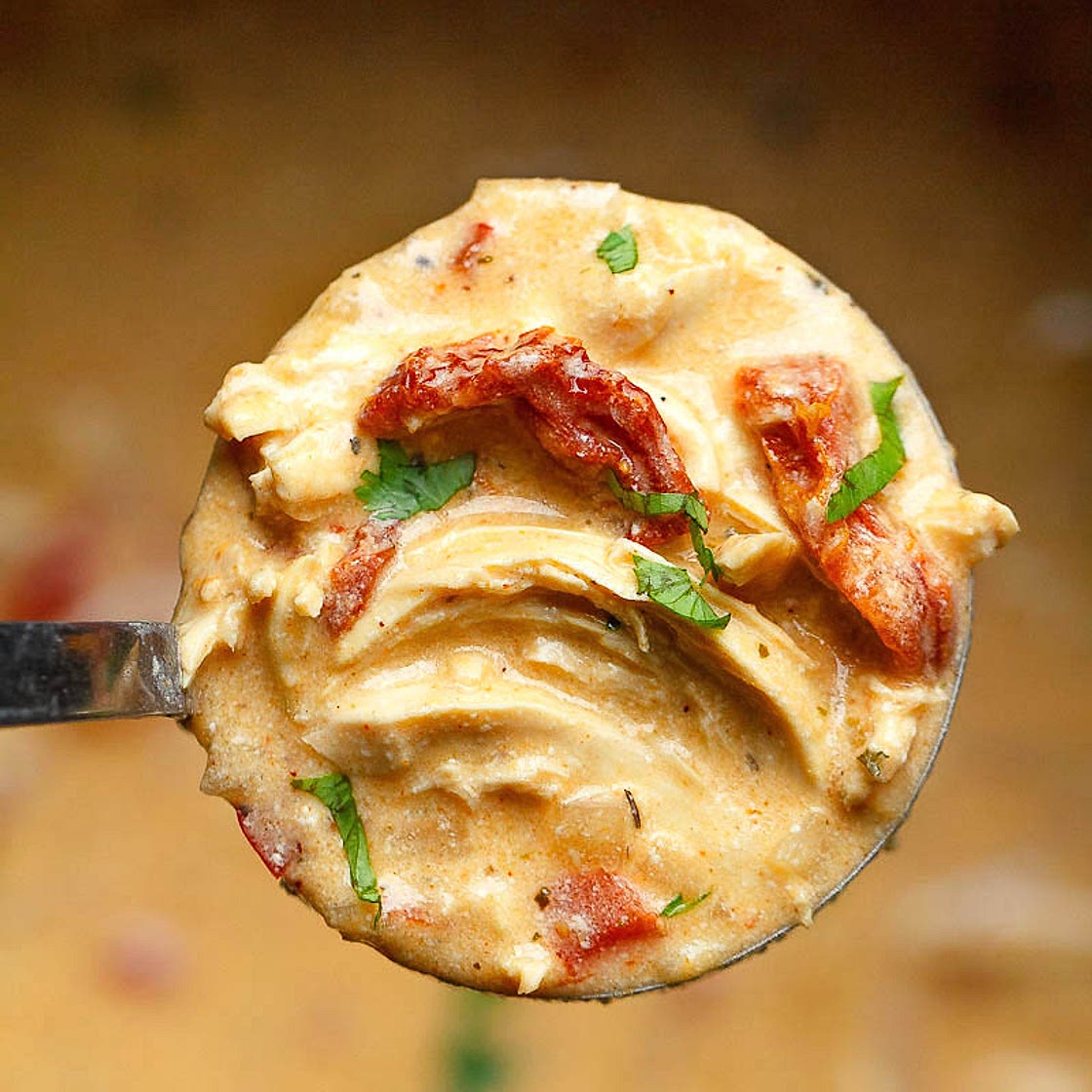 Instant Pot Creamy Chicken Soup