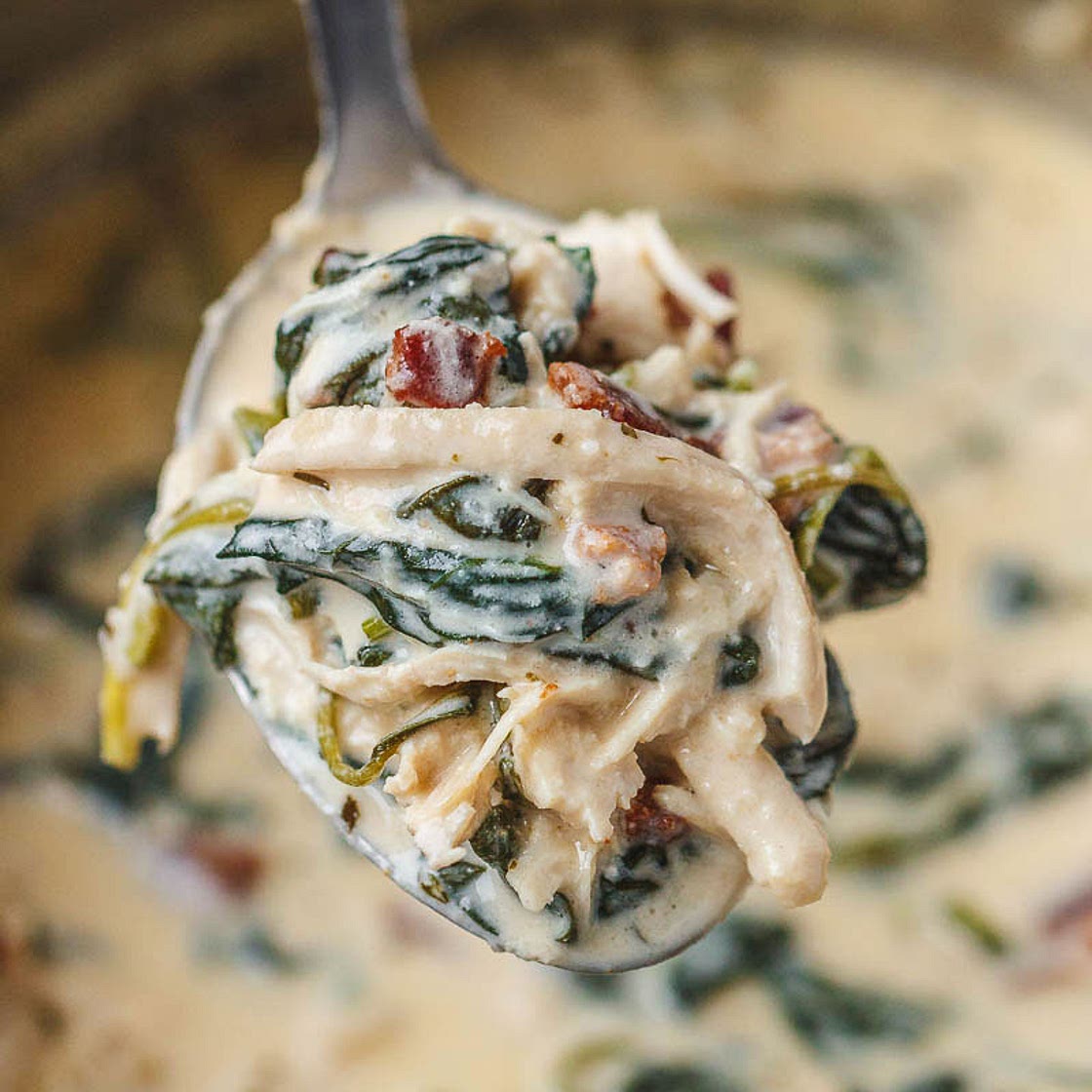 Instant Pot Crack Chicken Spinach Soup