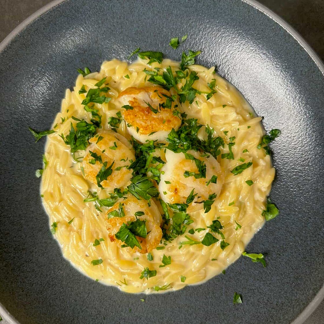 Creamy Lemon Dill Orzo with Seared Scallops