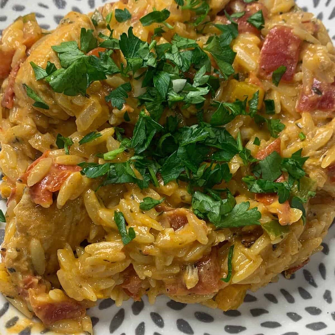 One Pot Cajun Chicken Orzo