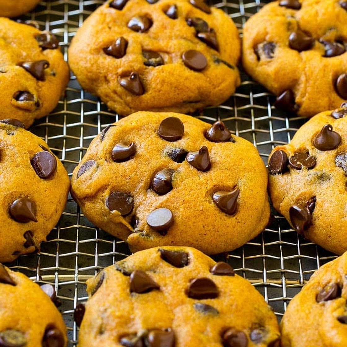 Pumpkin Chocolate Chip Cookies