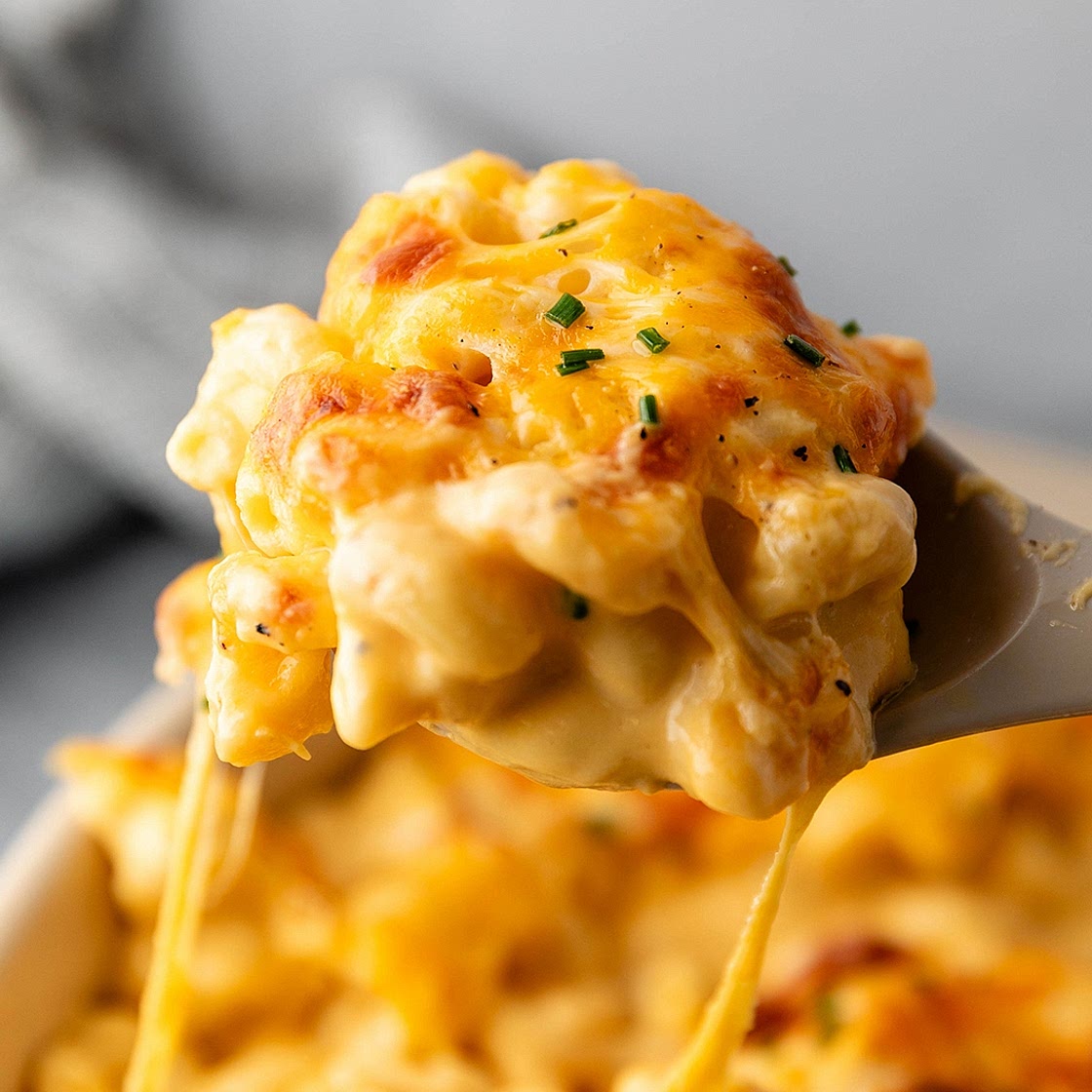 Creamy Mac & Cheese