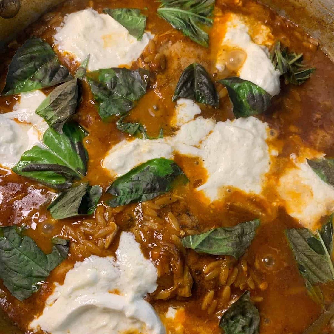 One Pan Marinara & Burrata Chicken Orzo