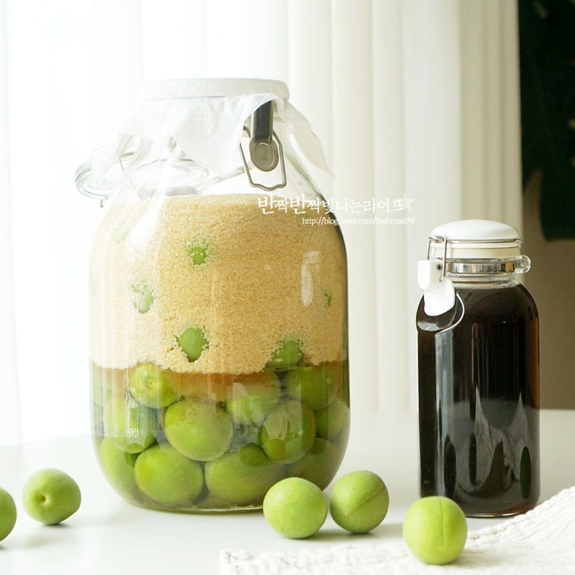 매실청 담그기 담그는 시기 홍쌍리 매실청 담그기