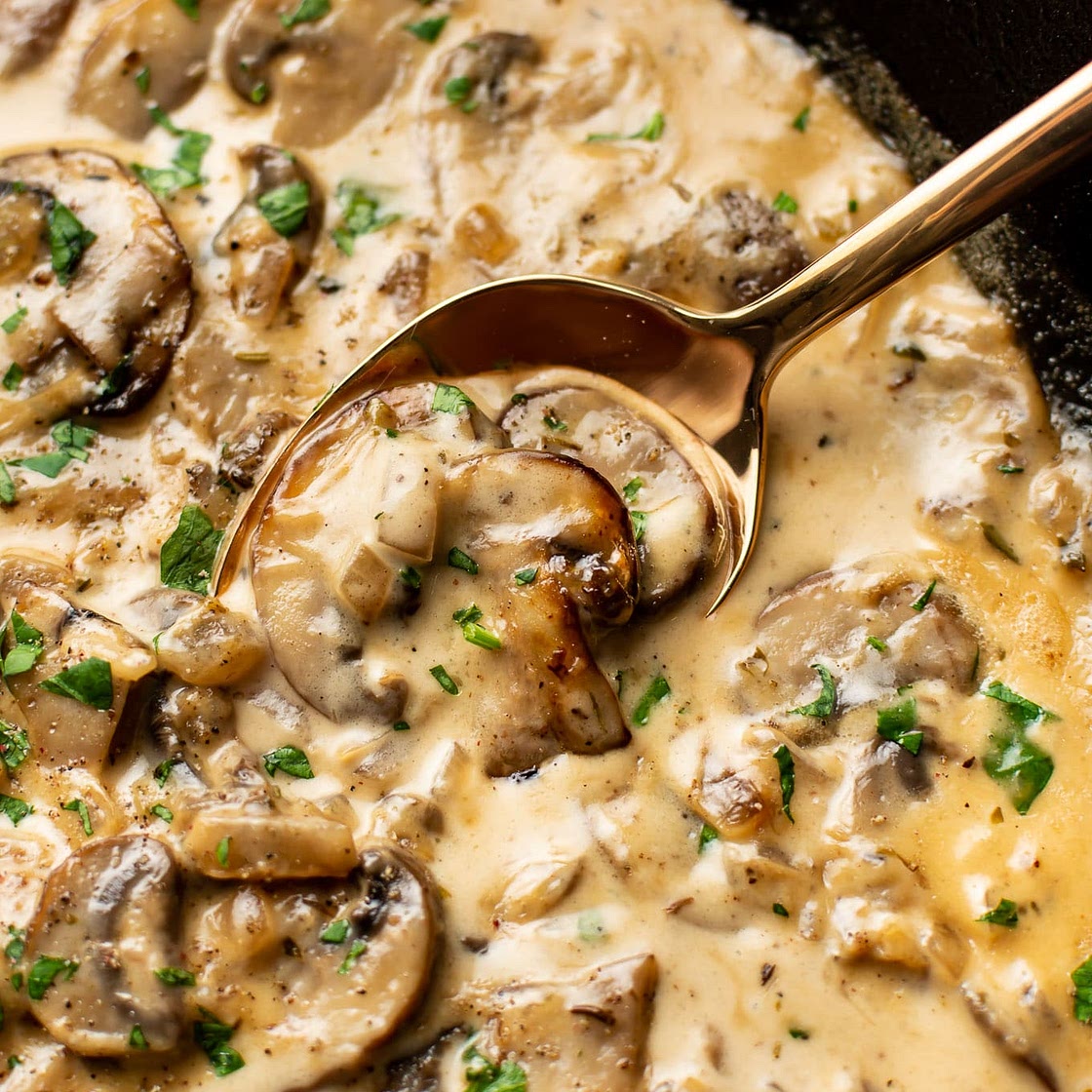 Creamy Mushroom Sauce
