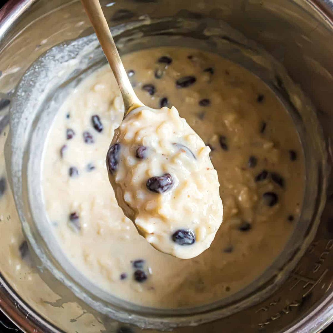 Instant Pot Rice Pudding Recipe