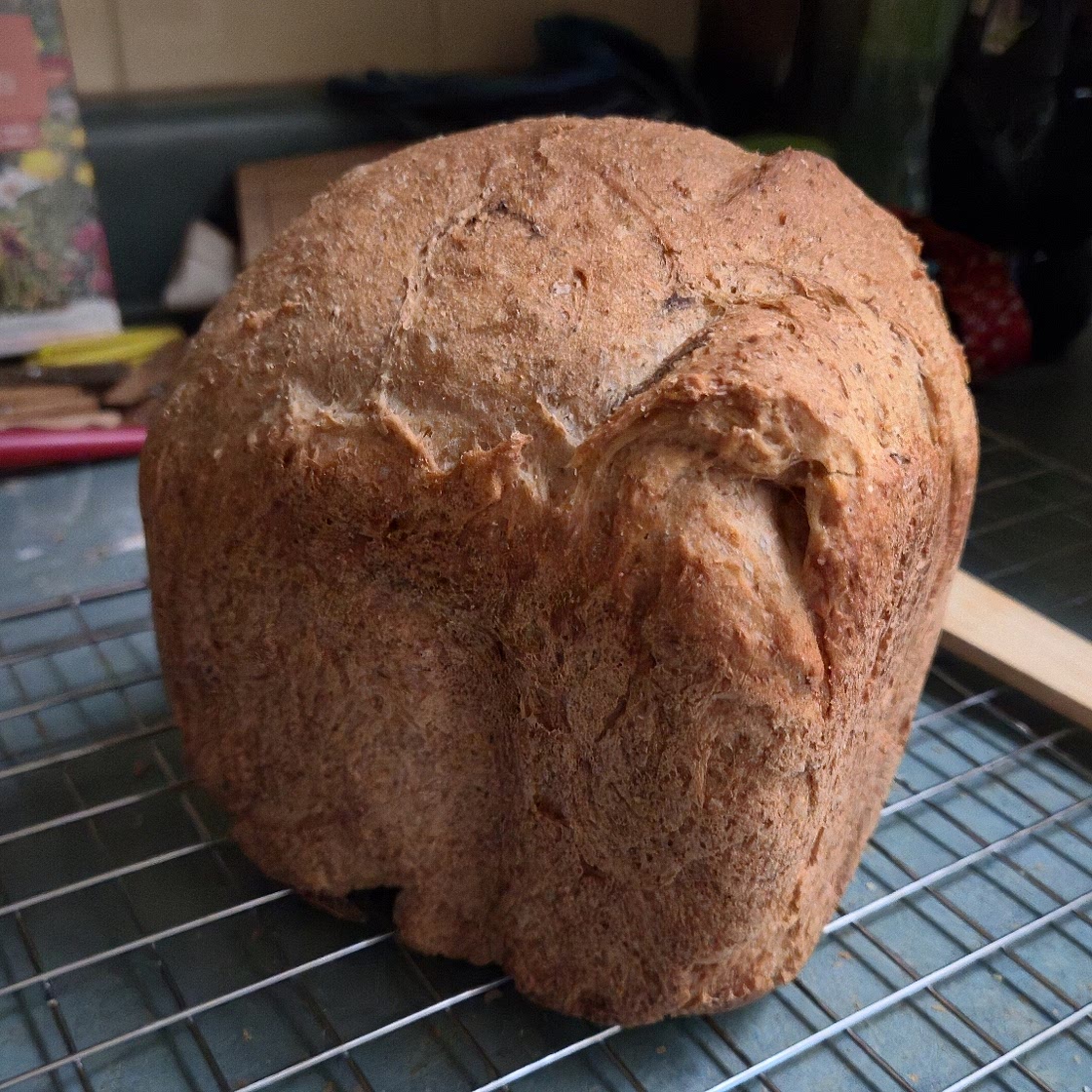 Fat-Free Whole Wheat Bread for Bread Machines