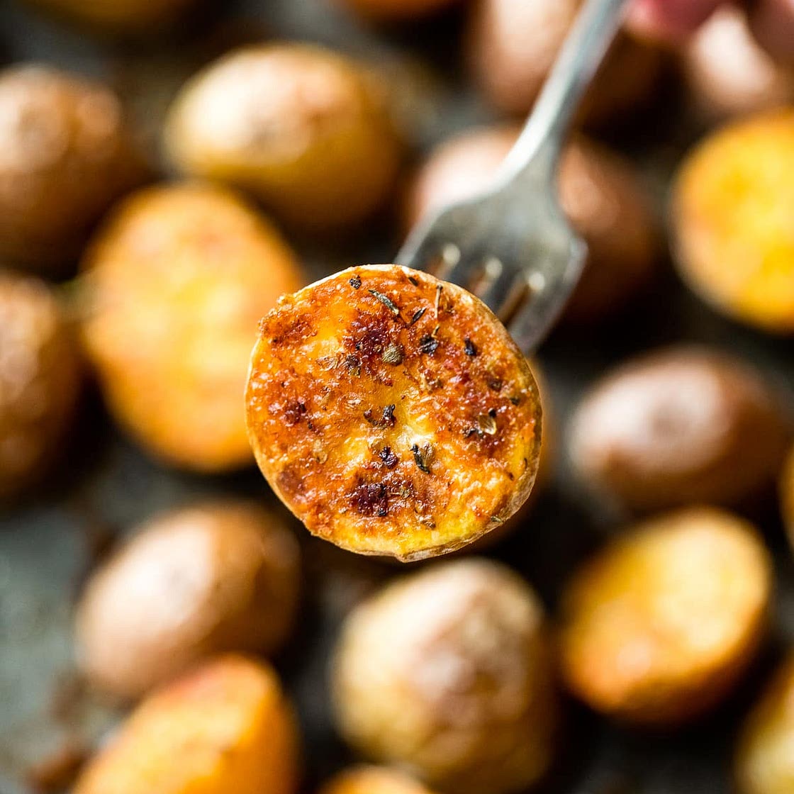 Roasted Baby Potato Recipe