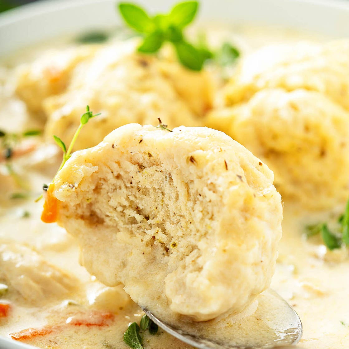 Chicken and Dumplings