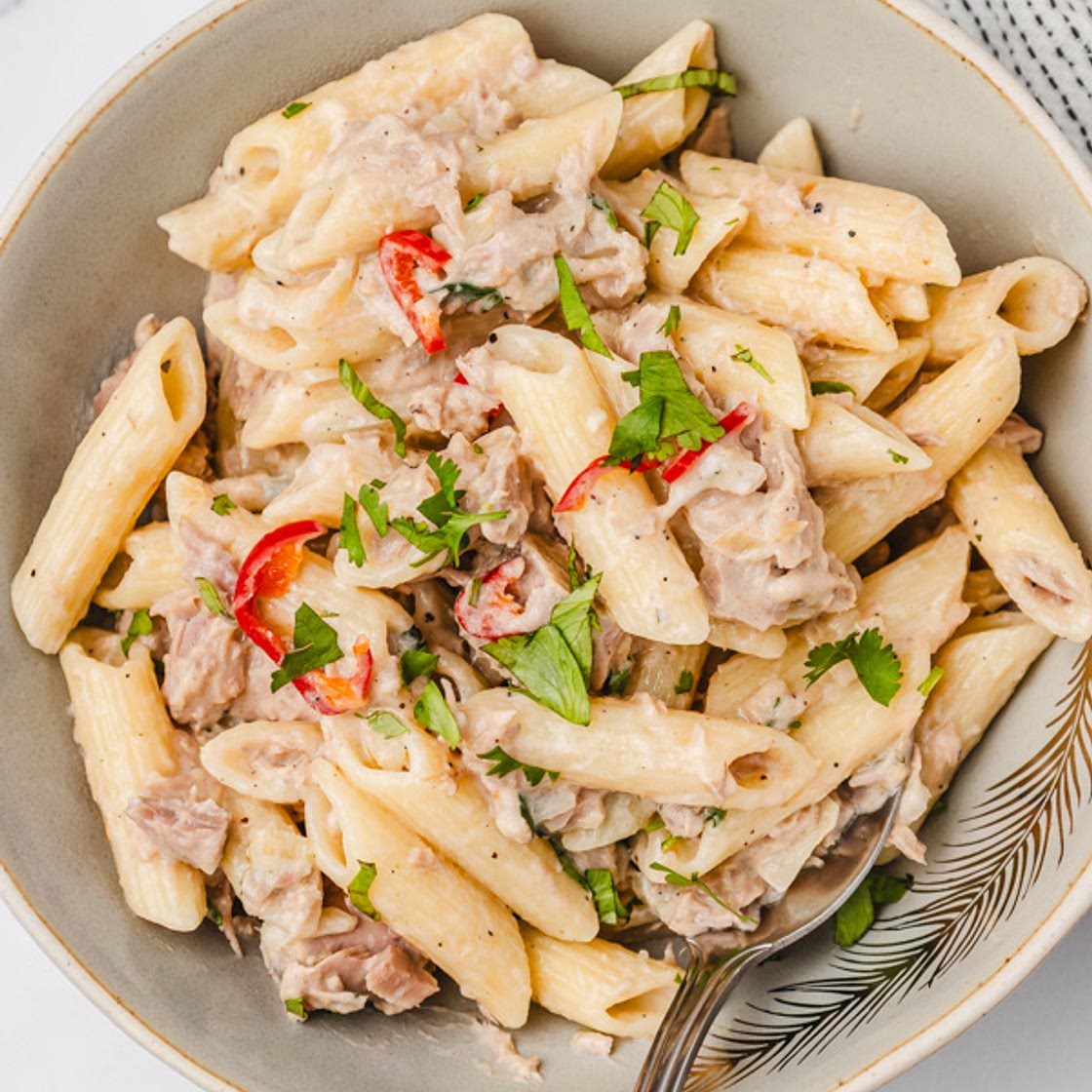 Canned Tuna Pasta Recipe