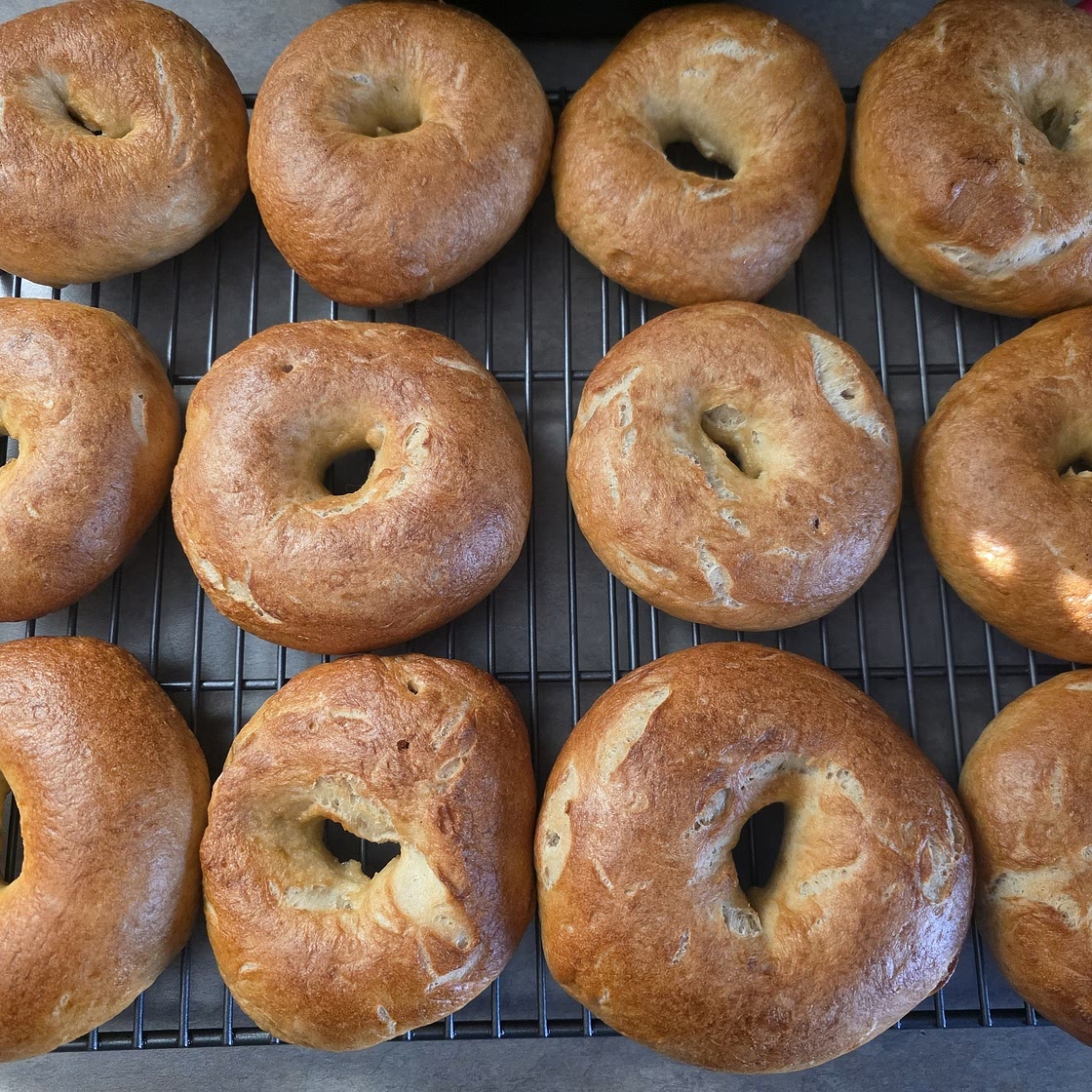 New York Bagels