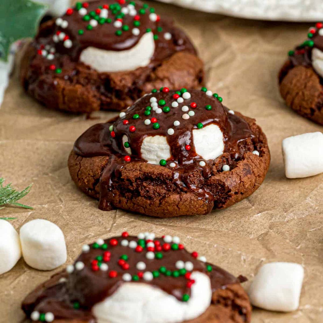 Hot Cocoa Cookies