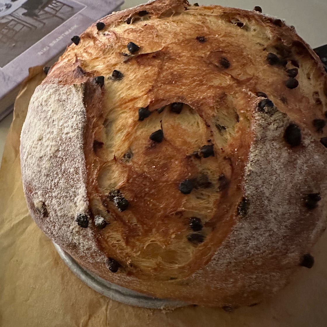 Chocolate Chip Bread
