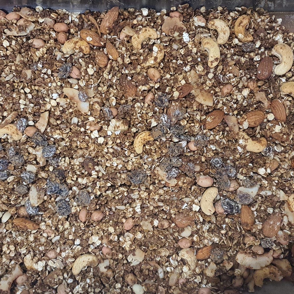 Arina's Diabetic-Friendly Granola
