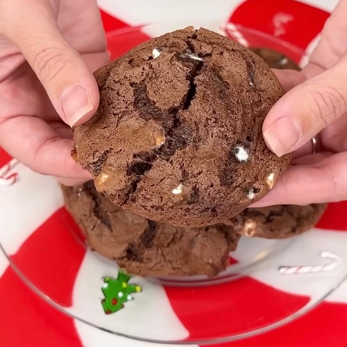 Hot Cocoa Cookies