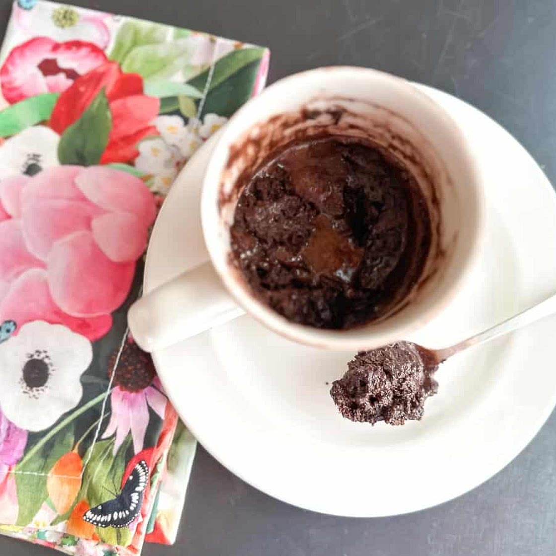 Low FODMAP High Protein Chocolate Mug Cake